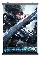 ������� �������� Metal Gear Rising: Revengeance 313256
