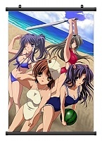   Clannad After Story /    