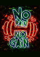 ������ �������� No Pain No Gain