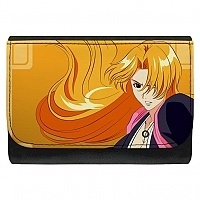 ������� ������ ���� No.13