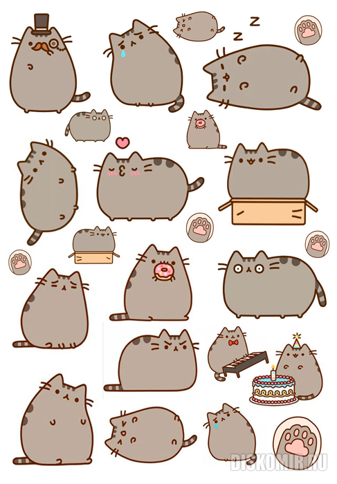 ������� ��� �����