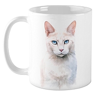 ������ �������� / ��������