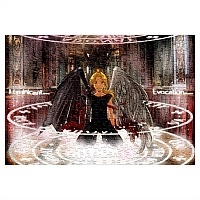 ���� Fullmetal Alchemist (������ A3, 252 ������) 67169