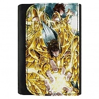  Saint Seiya: The Lost Canvas