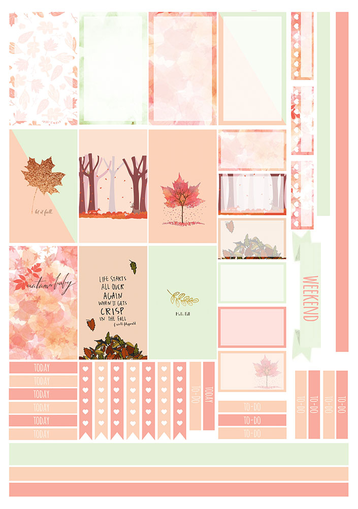 �������� ��� ����������� No.24 �����