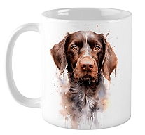 ������ �������� �������� / ��������