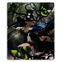 ������ ��� ����� Black Rock Shooter 308228