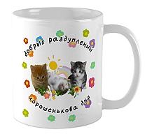 ������ ������ �����������. ������������ ���