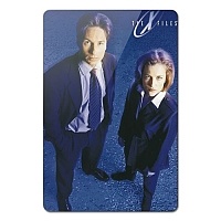    The X-Files 351961