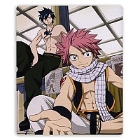    Fairy Tail 310051