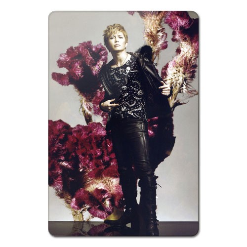 ���������� ������� ������ ��������� ������������� Gackt Camui - Flowers �� ����� � ����� 