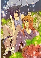 ������ �������� � ������� ���������