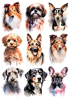 �������� ������ ����� No.3