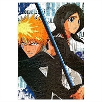 ���� ���� (������ A3, 252 ������) No.14