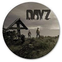     DayZ Standalone