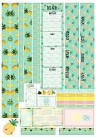 �������� ��� ����������� No.6 ������