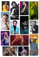  Post Malone    1