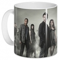 ������ � �������� ������� ������� �����������