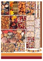 ������� ��� ����������� No.21 ����������, �����