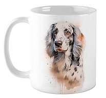 ������ English Setter / ��������