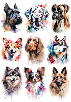 �������� ������ ����� No.9