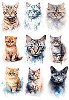 �������� ������ ����� No.2