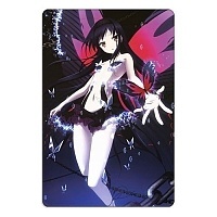 ������ ��������� ������������� Accel World 310408