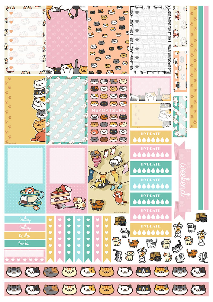 �������� ��� �������� ����������� No.8 ������ �����