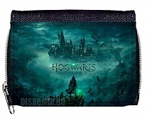 ������� ��������� Hogwarts Legacy