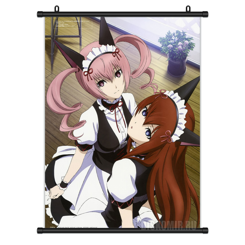     Steins Gate - Kurisu Makise, Rumiho Akiha       / Steins Gate