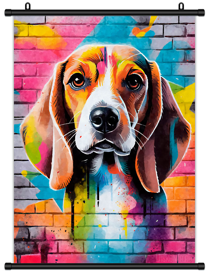 ������� �������� ����� / ��������