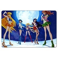    Bishoujo Senshi Sailor Moon 304827