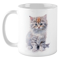 ������ ������� / ��������