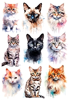 �������� ������ ����� No.1