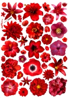 �������� ����� ������� �1