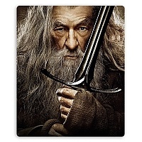    The Hobbit 310013