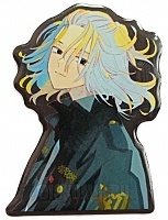 �������� ������ ��������� �������� - �������� ���� (��������)