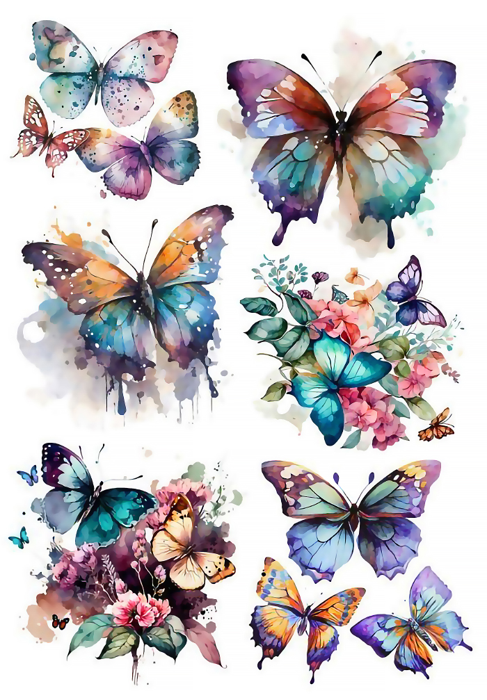 �������� ������� �� ������ / ��������