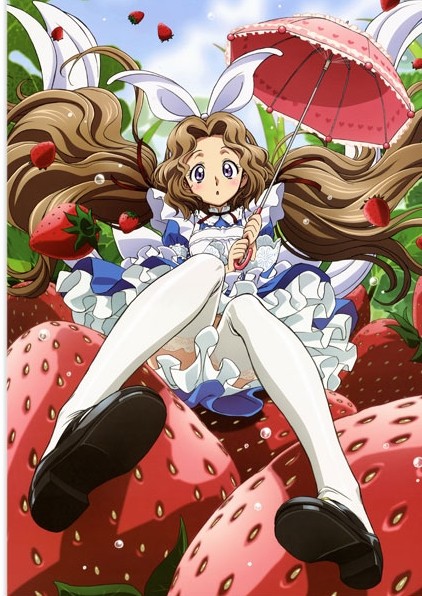 ������ �������� ��� ����� No.2