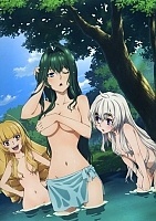   Hitsugi no Chaika /      
