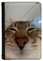 ������� �� ������� ������ ���