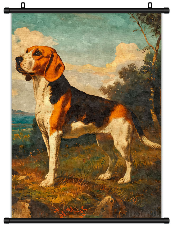 ������� �������� ����� / ������