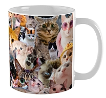 ������ ������ ������