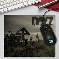     DayZ Standalone