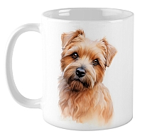 ������ �������-������ / ��������