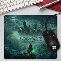 ������ ��� ����� ������������� Hogwarts Legacy