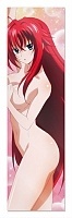 �������� ��� ���� High School DxD - Rias Gremory