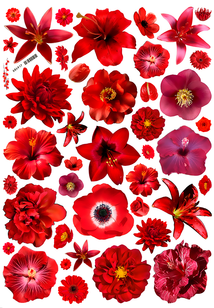 ������� ��������� ����� ������� �1