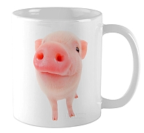 ������ ��������