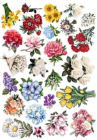 �������� �����